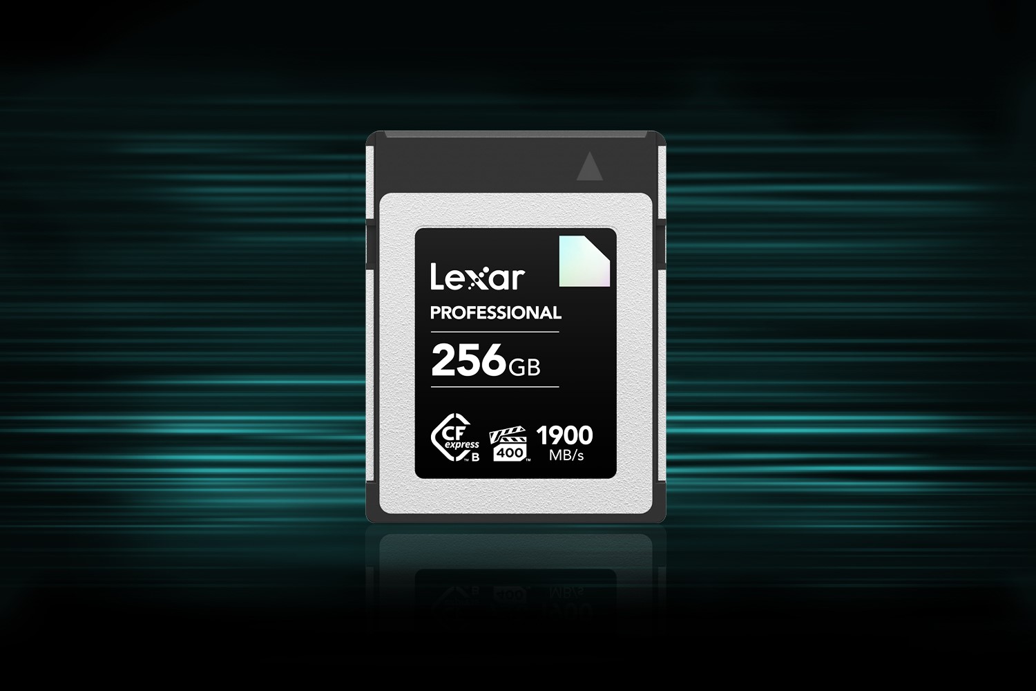 Lexar Professional 256GB memory card