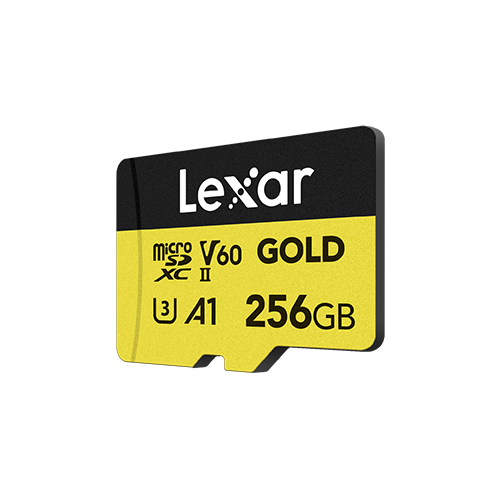 Lexar 256 Go Professional 1000x UHS-II Microsdxc Memory Carte avec  adaptateur SD