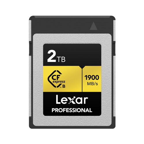 LEXAR Carte SDXC 256 Go 1800X Professional 270 Mo/s Classe 10 UHS