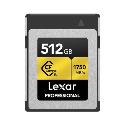 Lexar Professional 1066x 16GB VPG-65 CompactFlash-Karte 256GB 