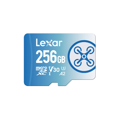 Lexar Carte mémoire 32 Go 300x UHS-I microSDHC – Abchir