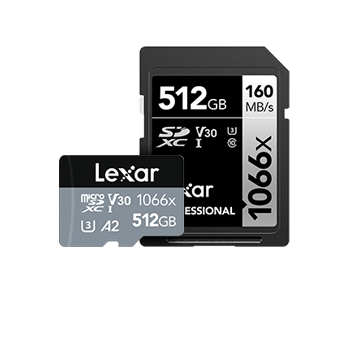 Coral Snapfire Plus SE Lexar Premium 1GB SD Image Rescue 3