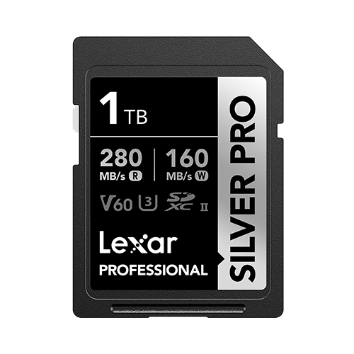 Carte mémoire SD Platinum II 100X de classe 10 de 16 Go de Lexar 